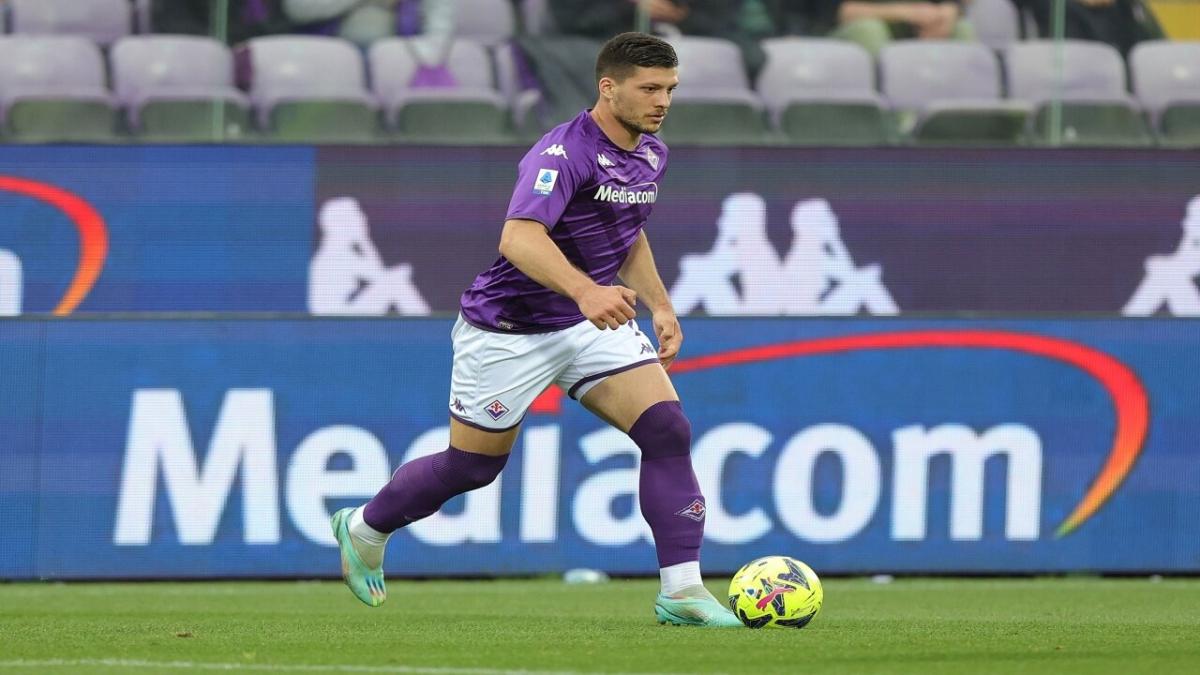 Fiorentina forward Luka Jovic